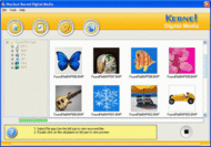 Nucleus Kernel Digital Media Recovery Software screenshot